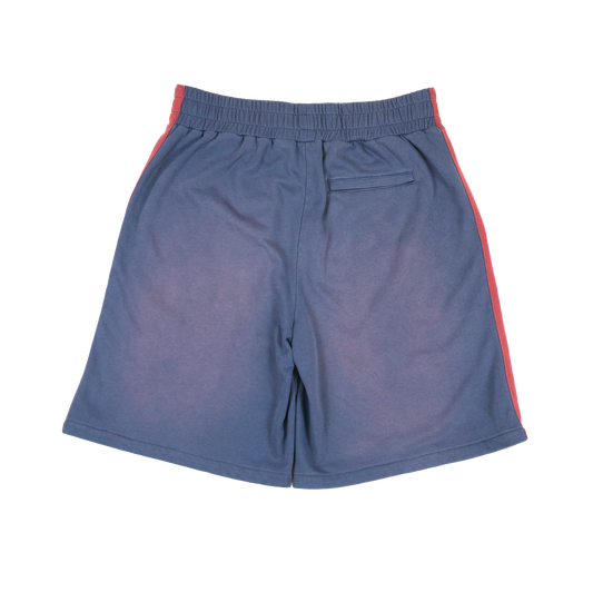 Varsity Shorts